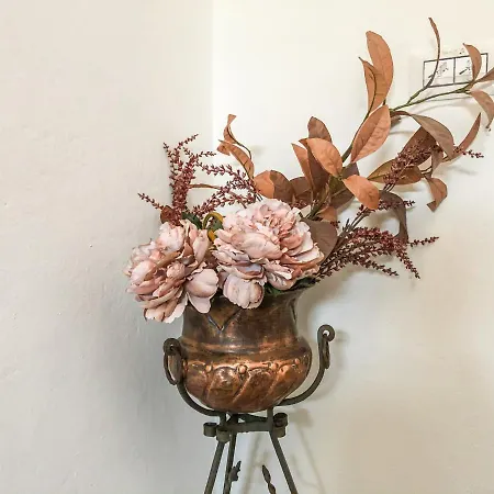 公寓 Villino Amelia 佛罗伦萨